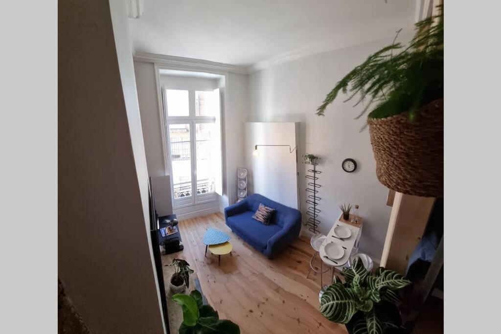 T1 Bis Cosy- Hypercentre - Clim - Metro - Wifi Apartment Toulouse Ngoại thất bức ảnh